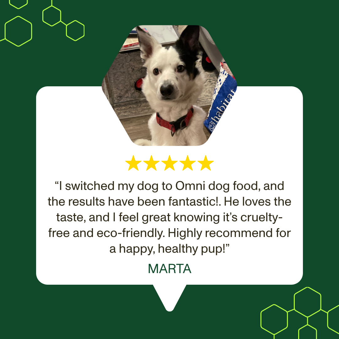 Sweet Potato & Quinoa Loaf