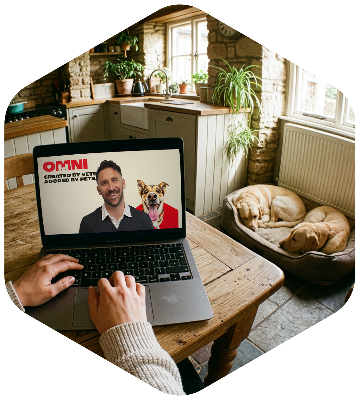 Talk to an Omni Vet for Free