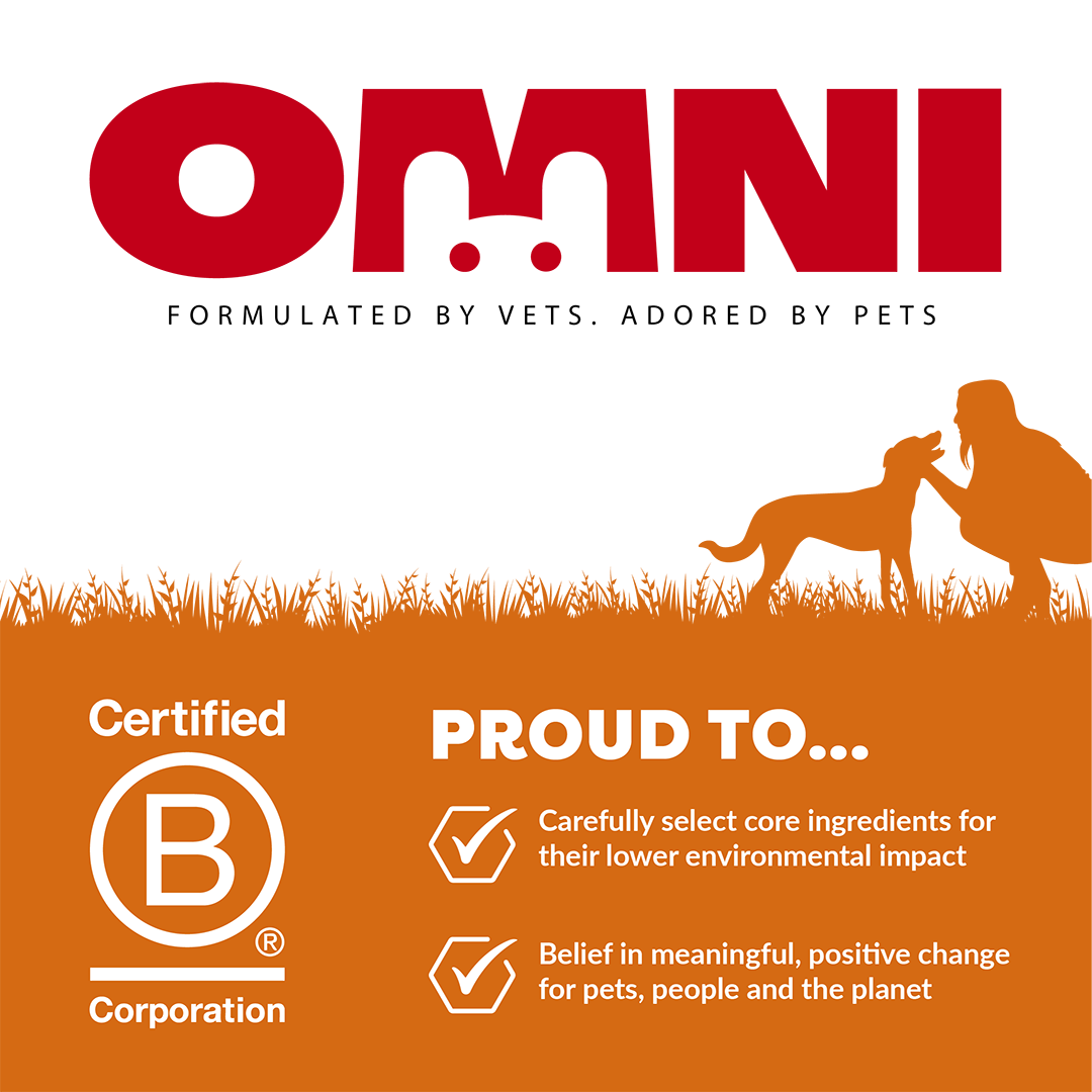 OMNI pet food brand logo with B Corp certification badge and values on a white background