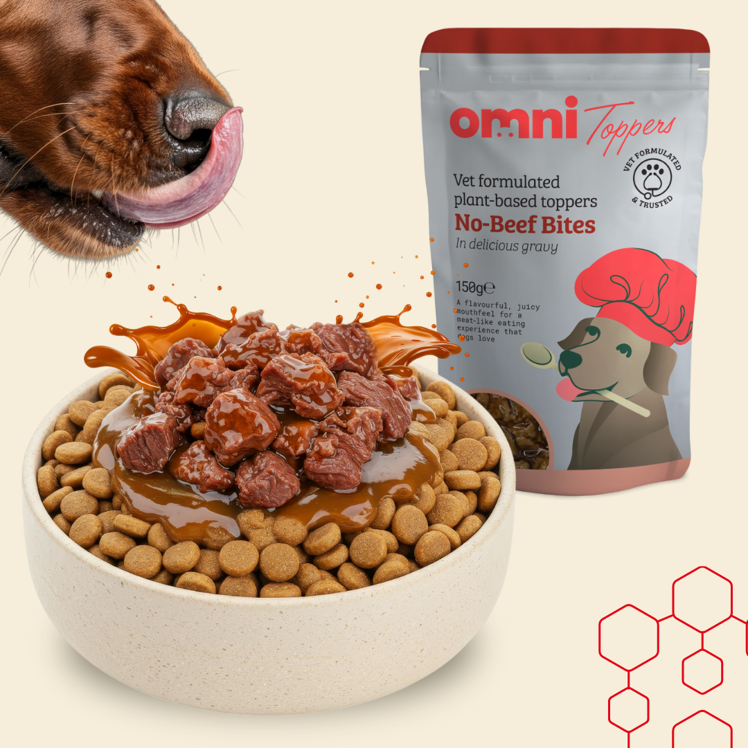 Dog eating from a bowl with Omni Toppers no-beef bites and dog food.