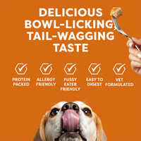 Dog licking its lips with text about delicious pet food on an orange background