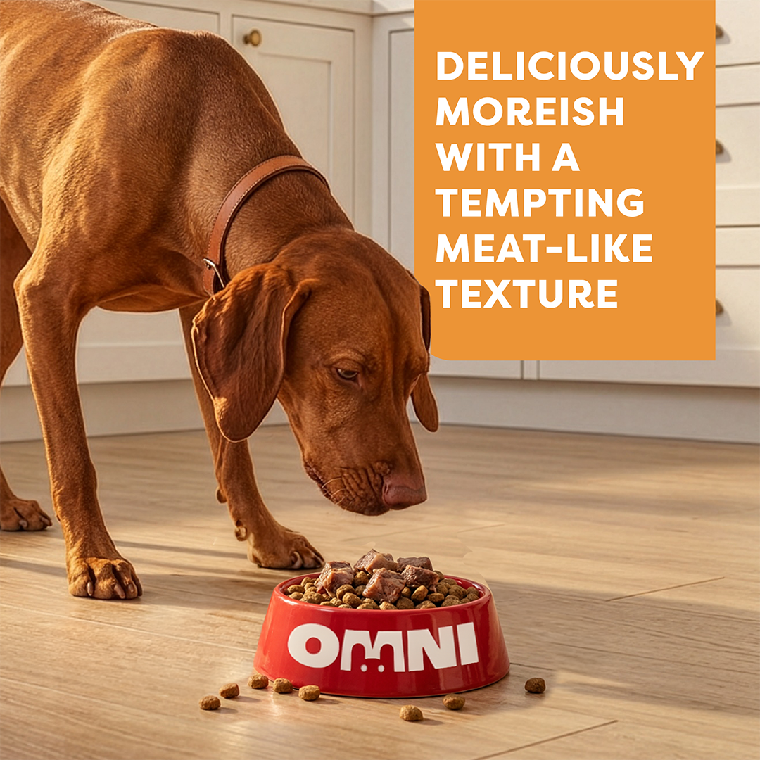 No-Beef Bites & No-Chick Chunks - 8