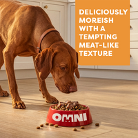 Dog eating from a red Omni bowl in a kitchen