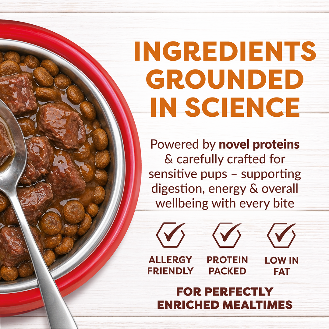 No-Beef Bites & No-Chick Chunks - 7