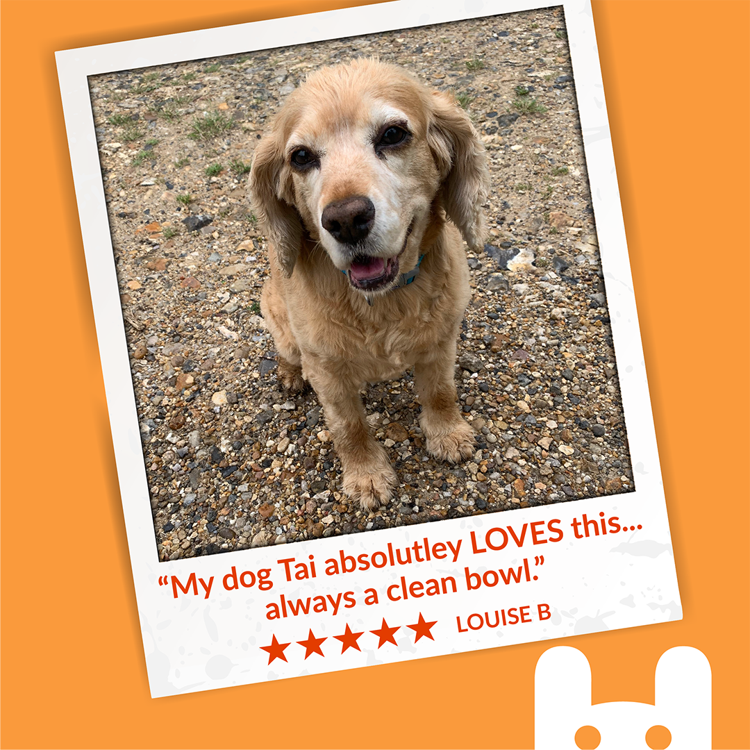 No-Beef Bites & No-Chick Chunks - 9