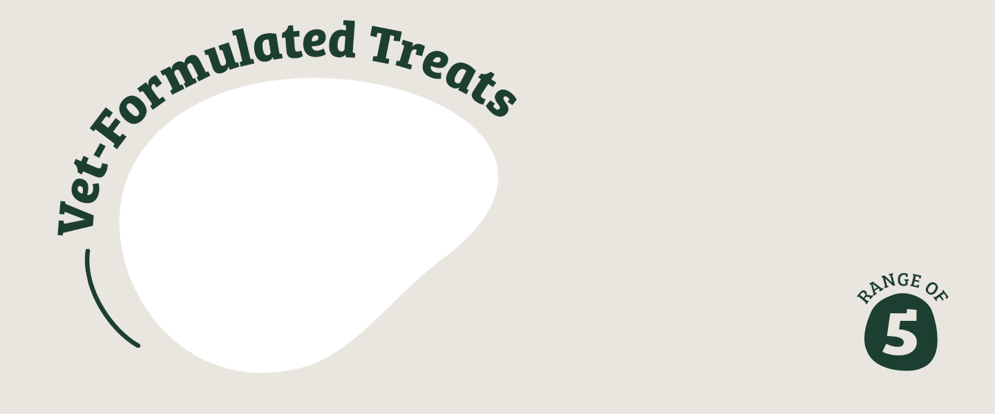 Feeding Your Dog A Raw Diet Know The Risks Of Raw Dog Food Omni Pet Ltd