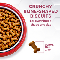 Advanced Complete | Joints