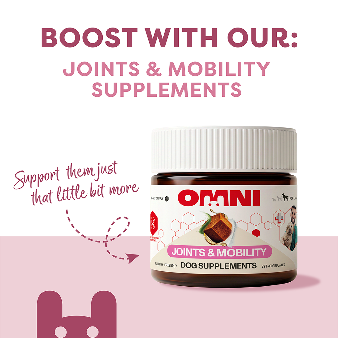 Advanced Complete | Joints
