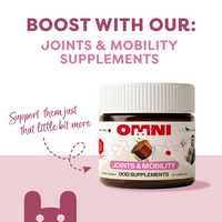 Advanced Complete | Joints