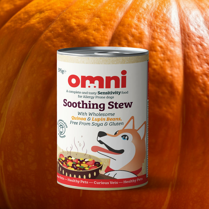 Can of Omni Soothing Stew dog food with a pumpkin in the background