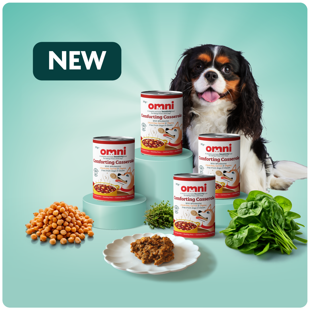 Omni wet food for dogs - Comforting Casserole