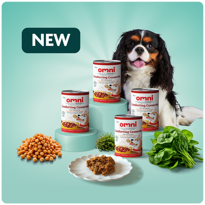 Omni wet food for dogs - Comforting Casserole