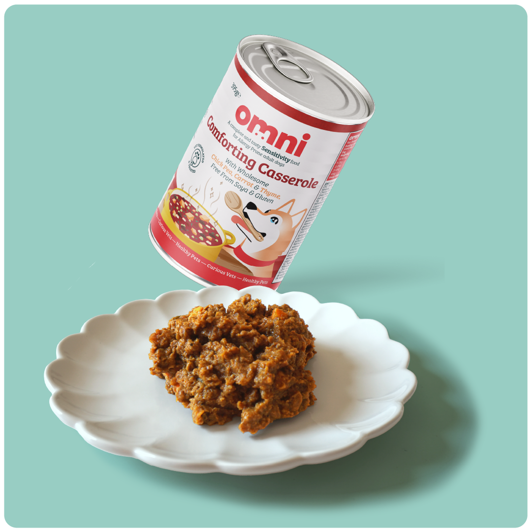 Comforting Casserole