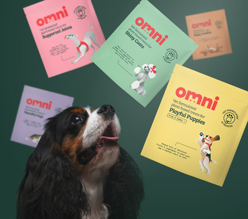 Vegan Dog Treats Omni Pet Food Omni pet ltd