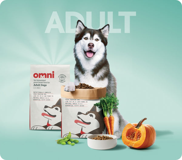 Nourriture pour chiens adultes Omni pet ltd