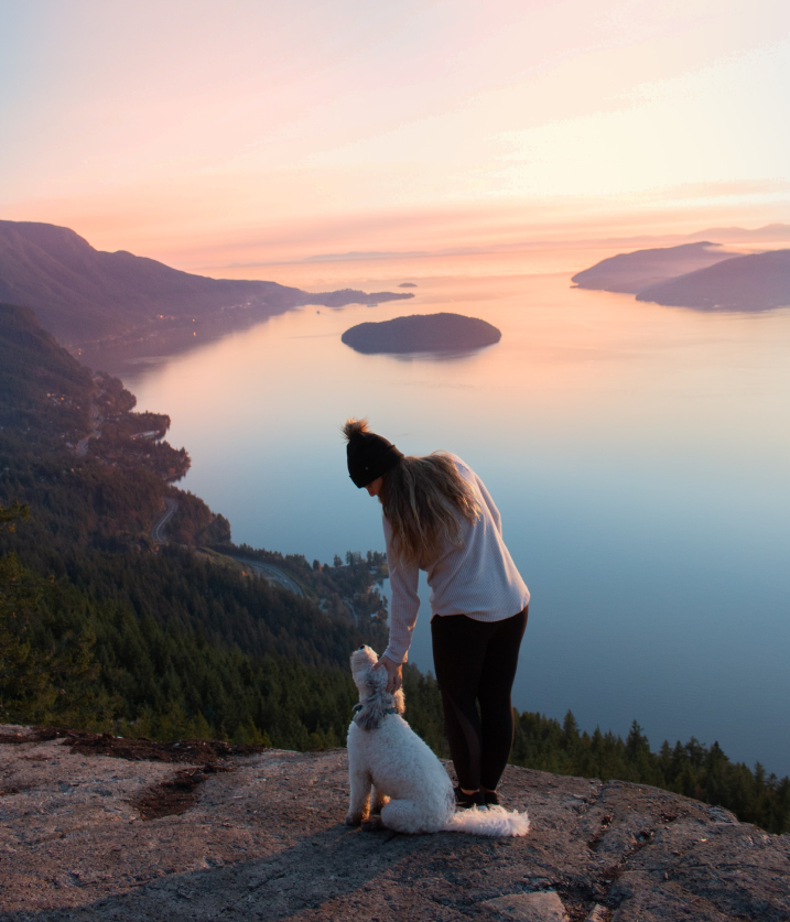 Vegan Dog Food Omni Pet Food Omni pet ltd