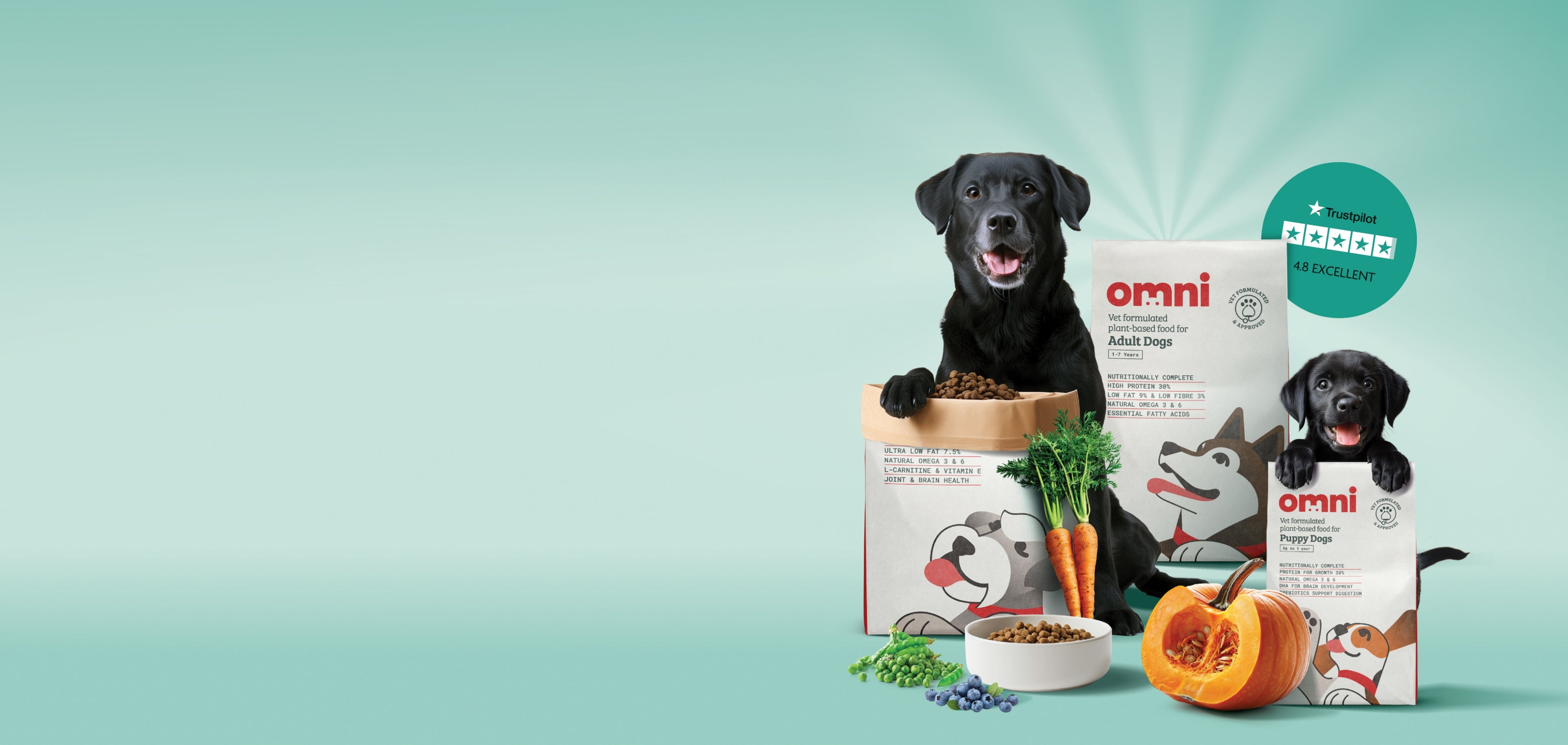 Dog food brands shops high in omega 3