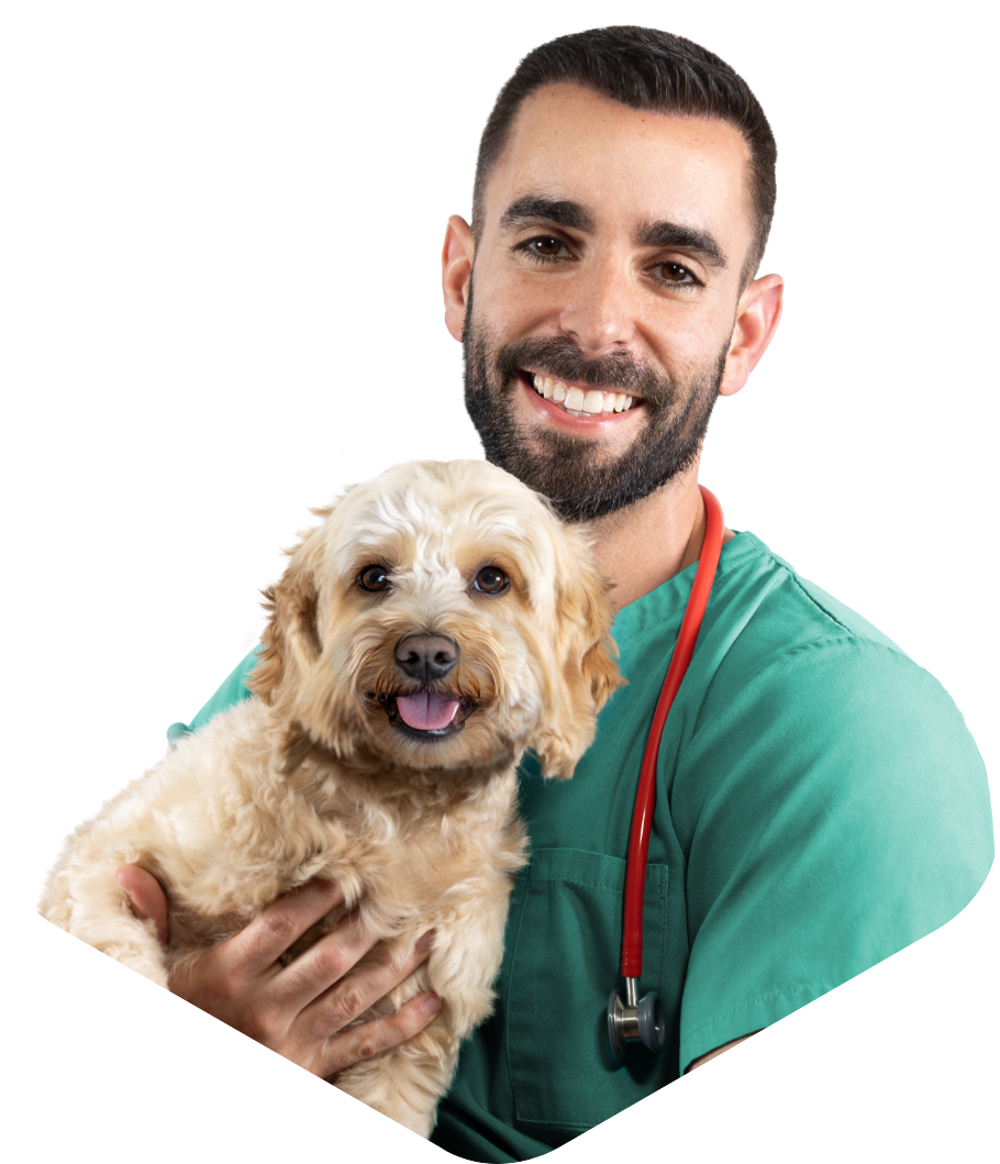 Dr. Guy Sandelowsky