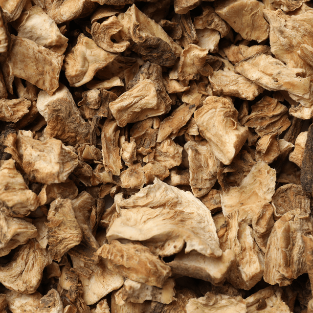 Dried Chicory