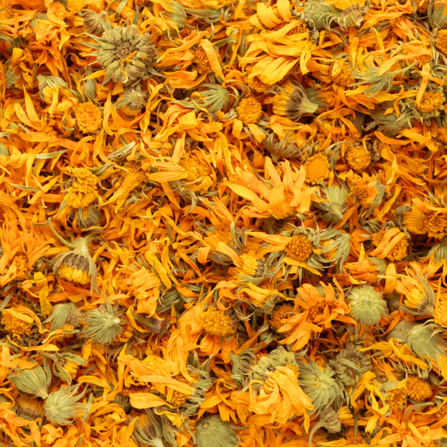 Dried Marigold