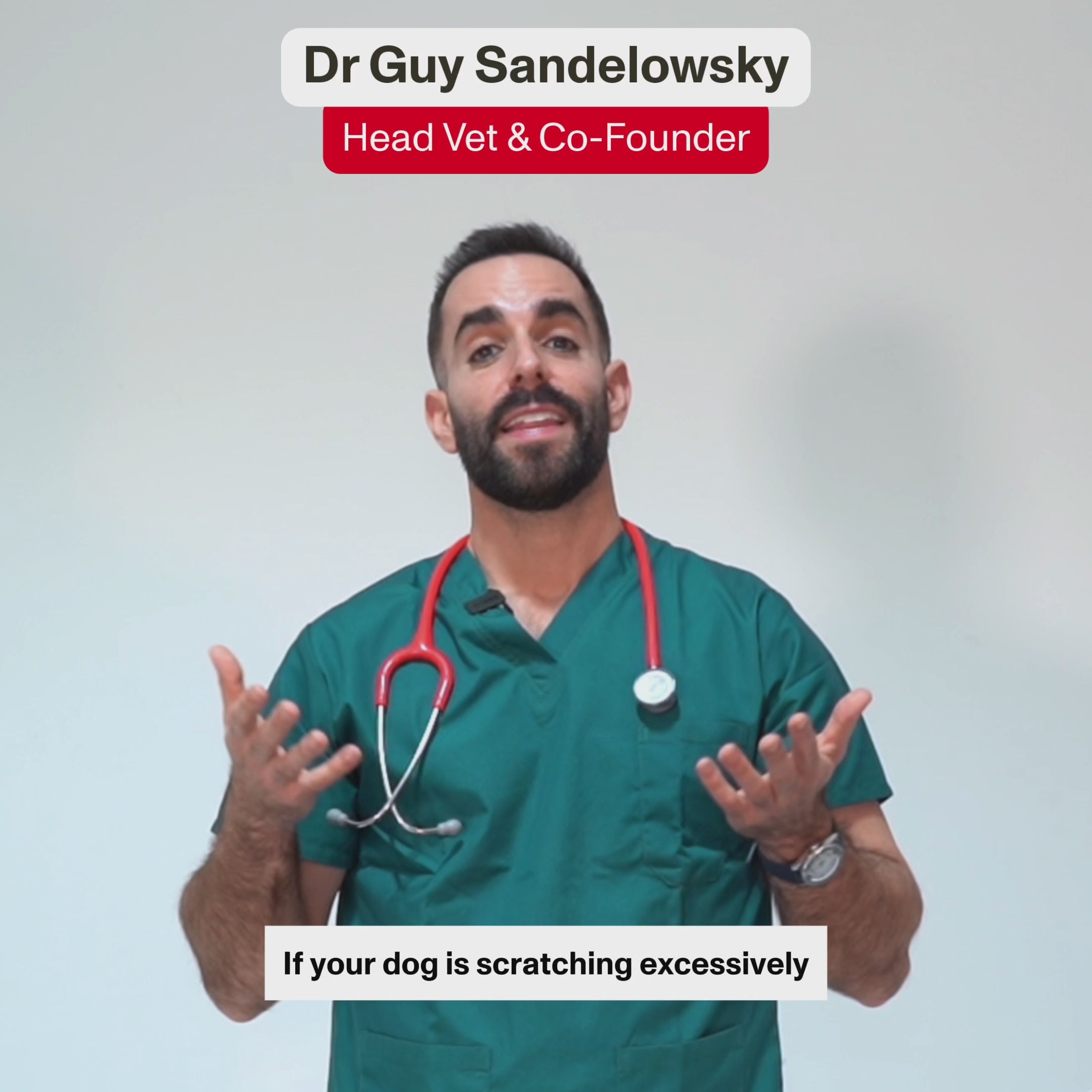 Vet talking about Omni Irritated Skin Supplement for dogs