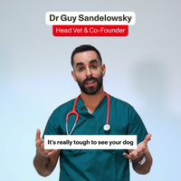 Vet talking about Omni Joints & Mobility Supplement