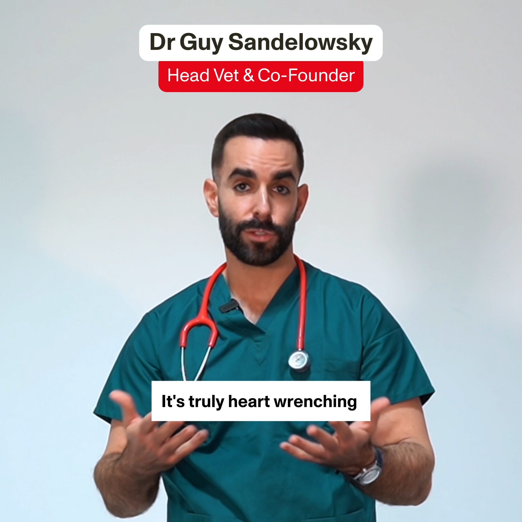 Vet talking about Stress & Anxiety supplements