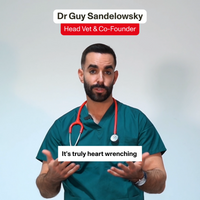 Vet talking about Stress & Anxiety supplements