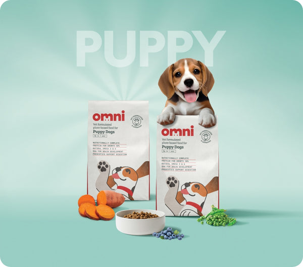 How long puppy food best sale