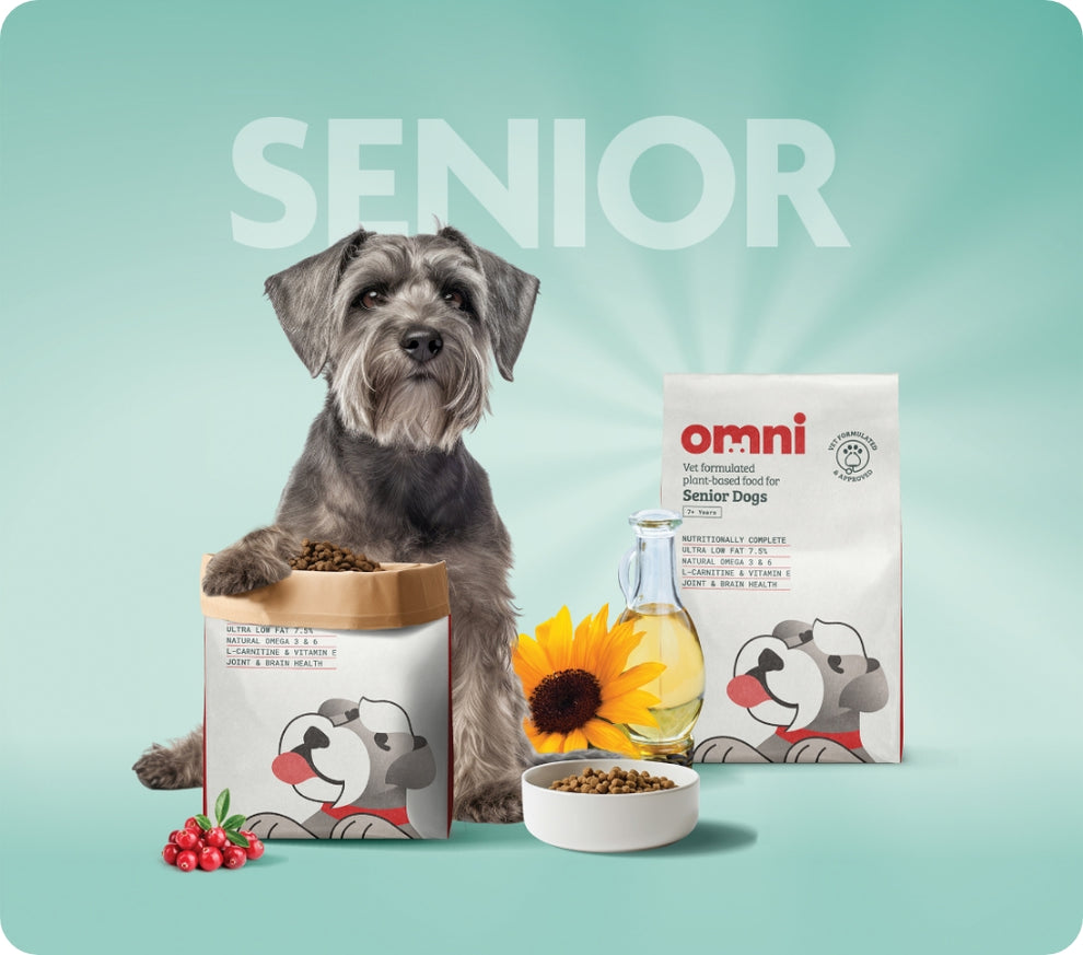 Omni Senior Dog Food - Vegan Nutrition – Omni pet ltd