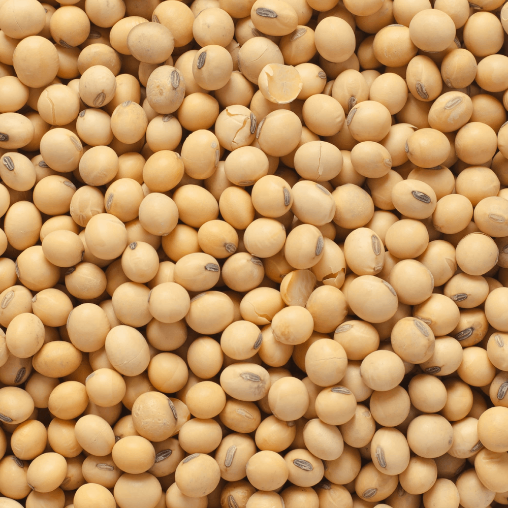 Hi-Pro Soya