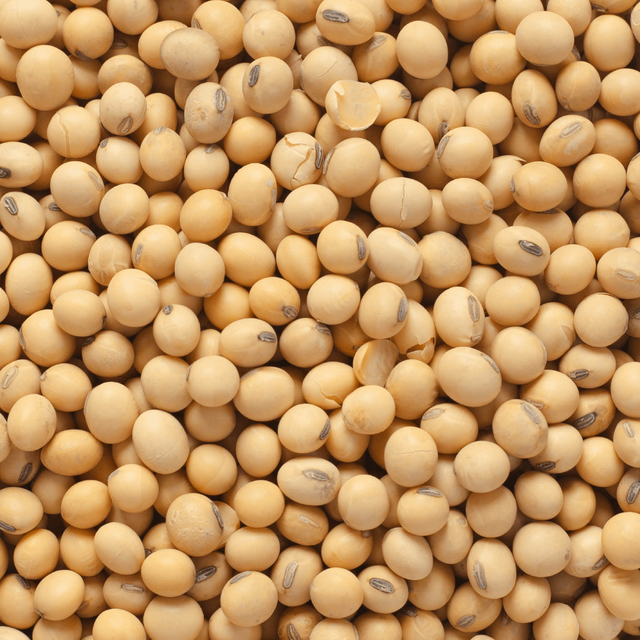 Hi-Pro Soya