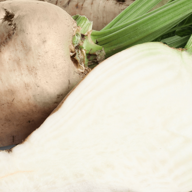 Sugar Beet Fibre