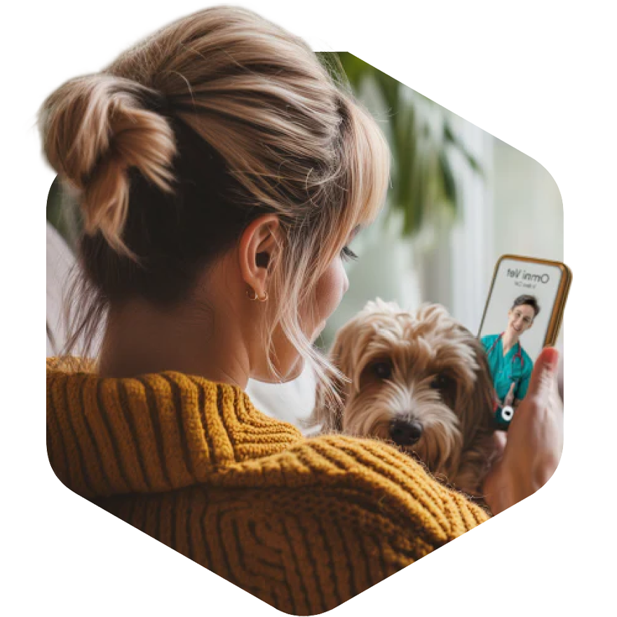 Talk to an Omni Vet for Free